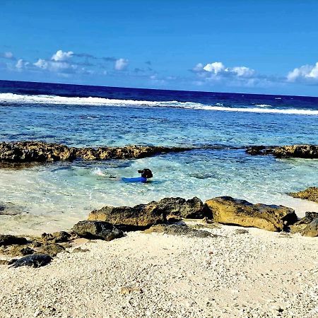 Un Ecrin De Paix Au Soleil Et Proche De La Mer Moorea Eksteriør billede