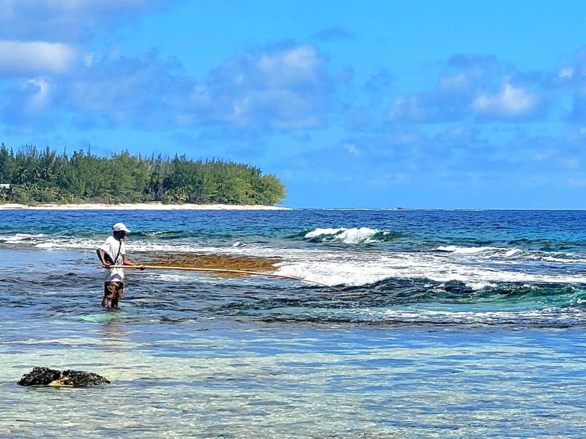 Un Ecrin De Paix Au Soleil Et Proche De La Mer Moorea Eksteriør billede