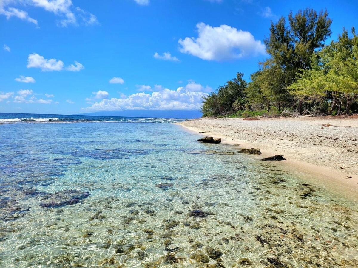 Un Ecrin De Paix Au Soleil Et Proche De La Mer Moorea Eksteriør billede