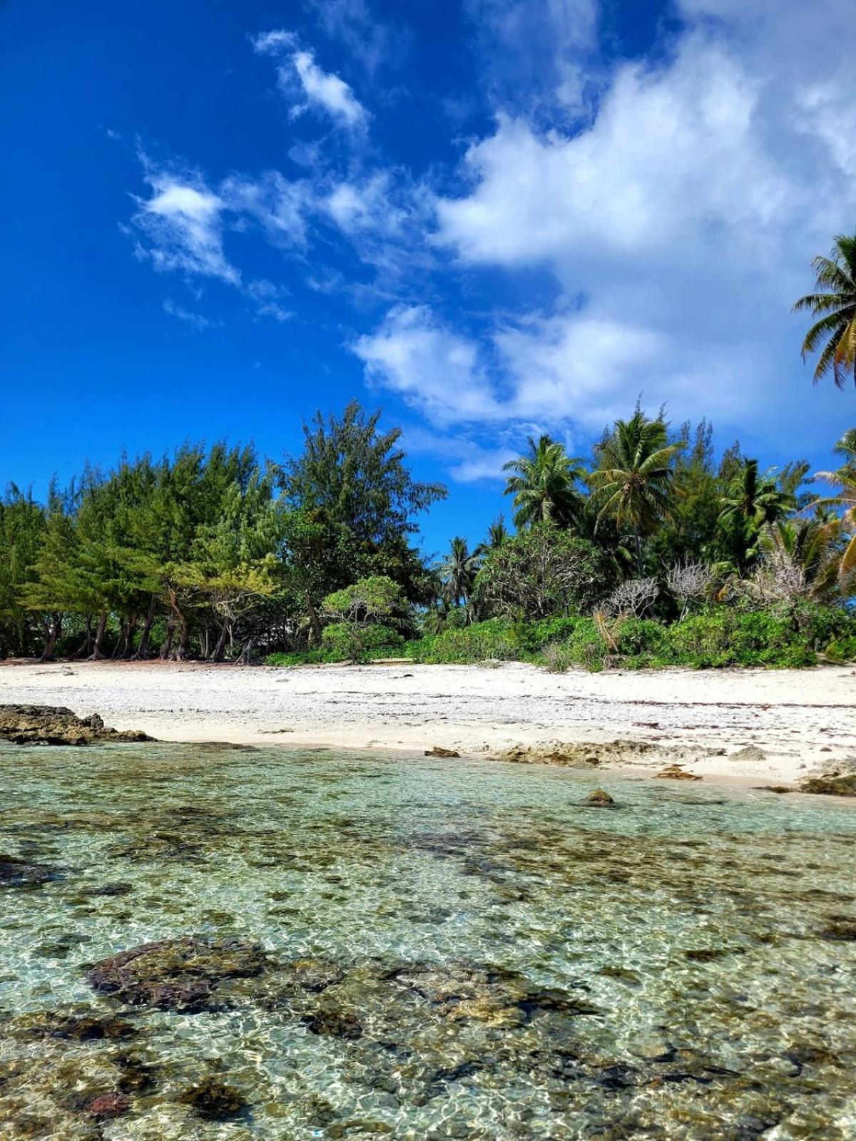 Un Ecrin De Paix Au Soleil Et Proche De La Mer Moorea Eksteriør billede