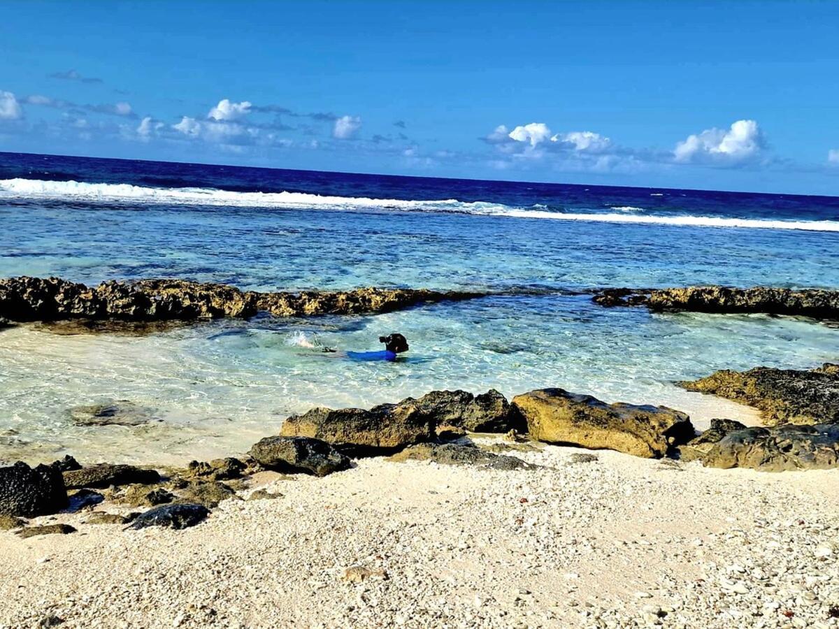 Un Ecrin De Paix Au Soleil Et Proche De La Mer Moorea Eksteriør billede
